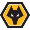 Voetbalkleding kind Wolves